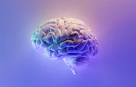 stylized image of a brain